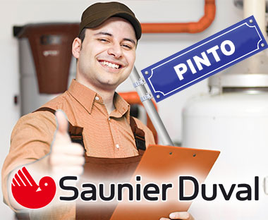 Servicio Tecnico Saunier Duval Pinto