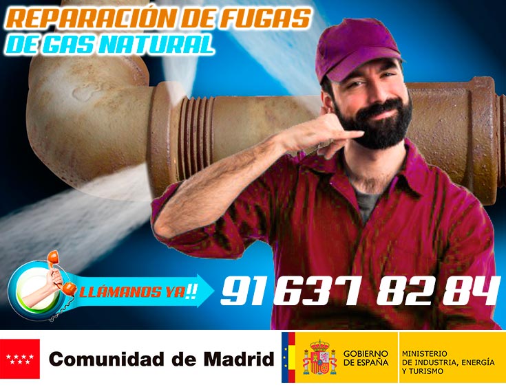 Reparación de fugas de gas natural en Madrid